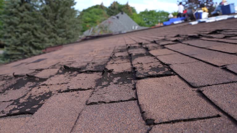 Best Gutter Installation and Repair  in Barberton, WA