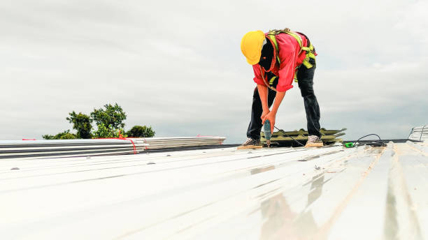 Best Skylight Installation and Repair  in Barberton, WA